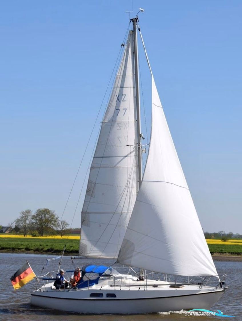 Deerberg Beryll 30