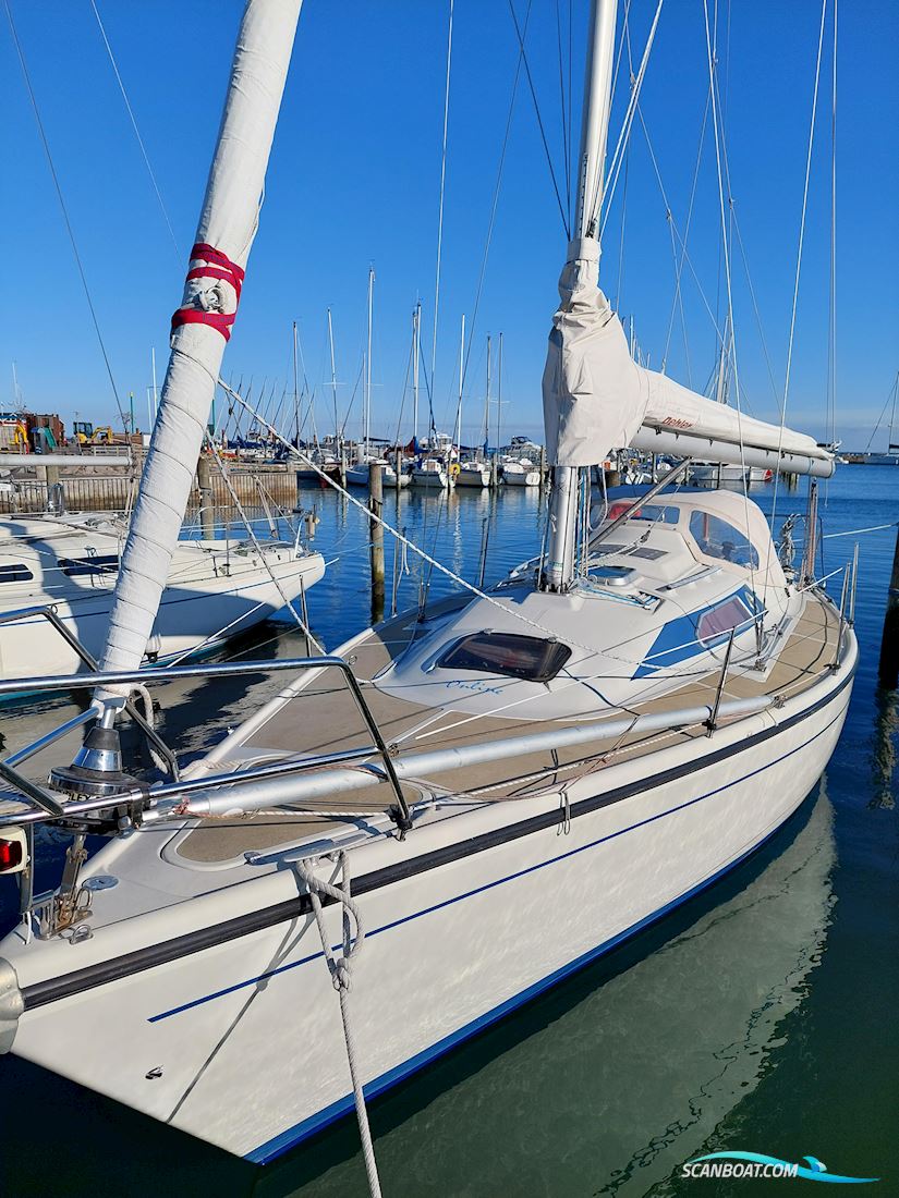 Dehler 31 Sejlbåd 1985, med Yanmar motor, Danmark