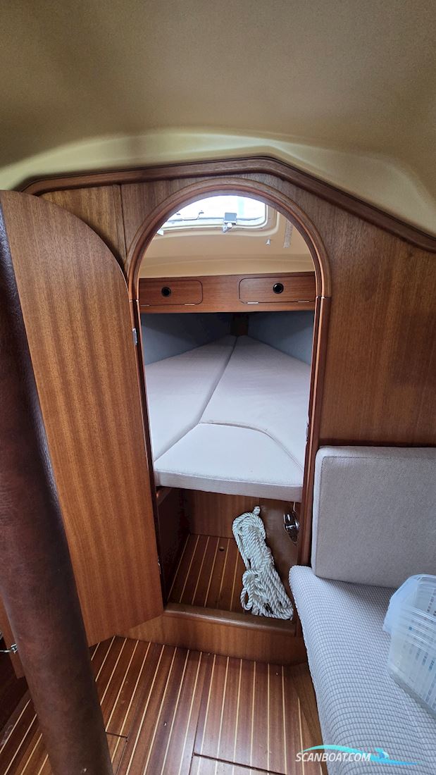 Dehler 31