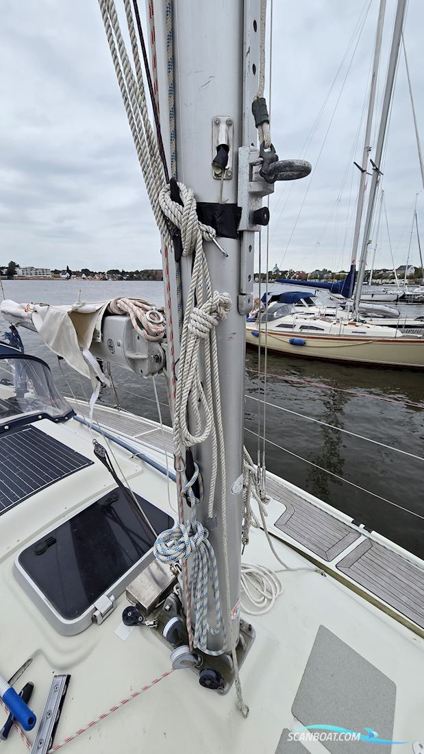 Dehler 31