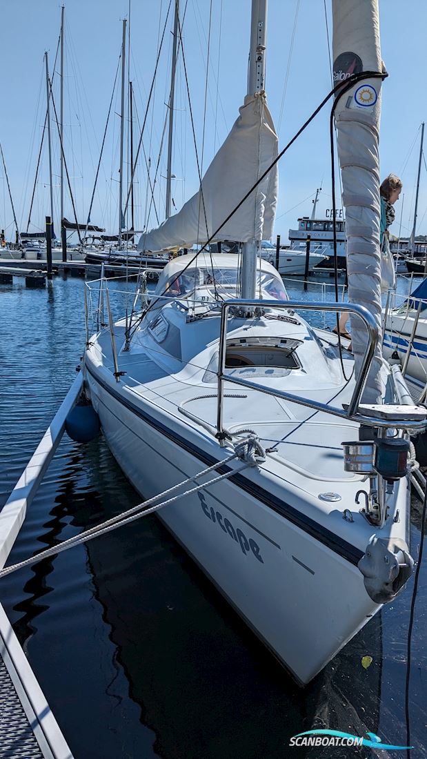 Dehler 31 Top Nova Sejlbåd 1989, med Yanmar motor, Tyskland
