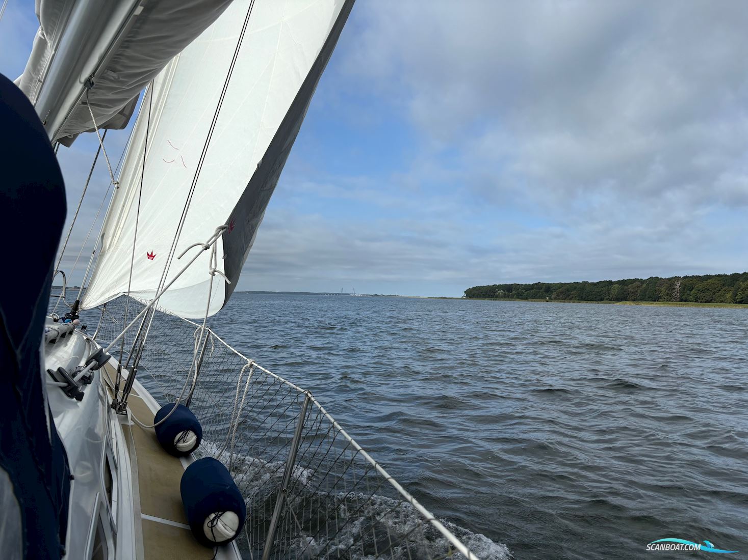 Dehler 33 Cruising