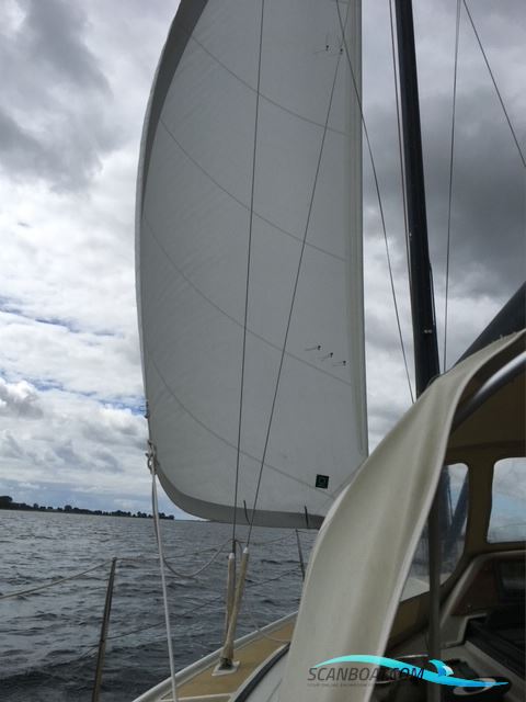 Dehler 34 Optima 101