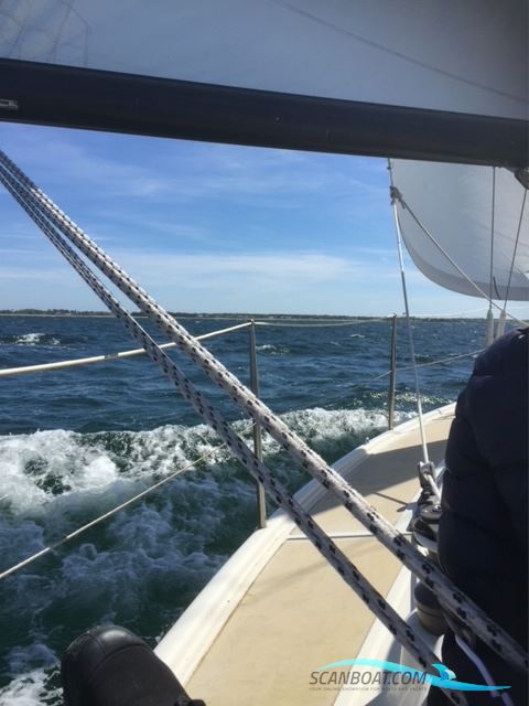 Dehler 34 Optima 101