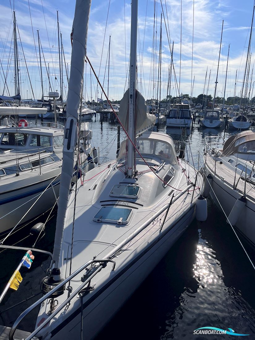 Dehler 34