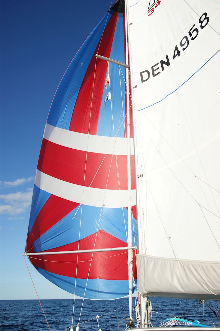Dehler 34 Top
