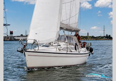Dehler 36 Cws Sejlbåd 1992, Holland