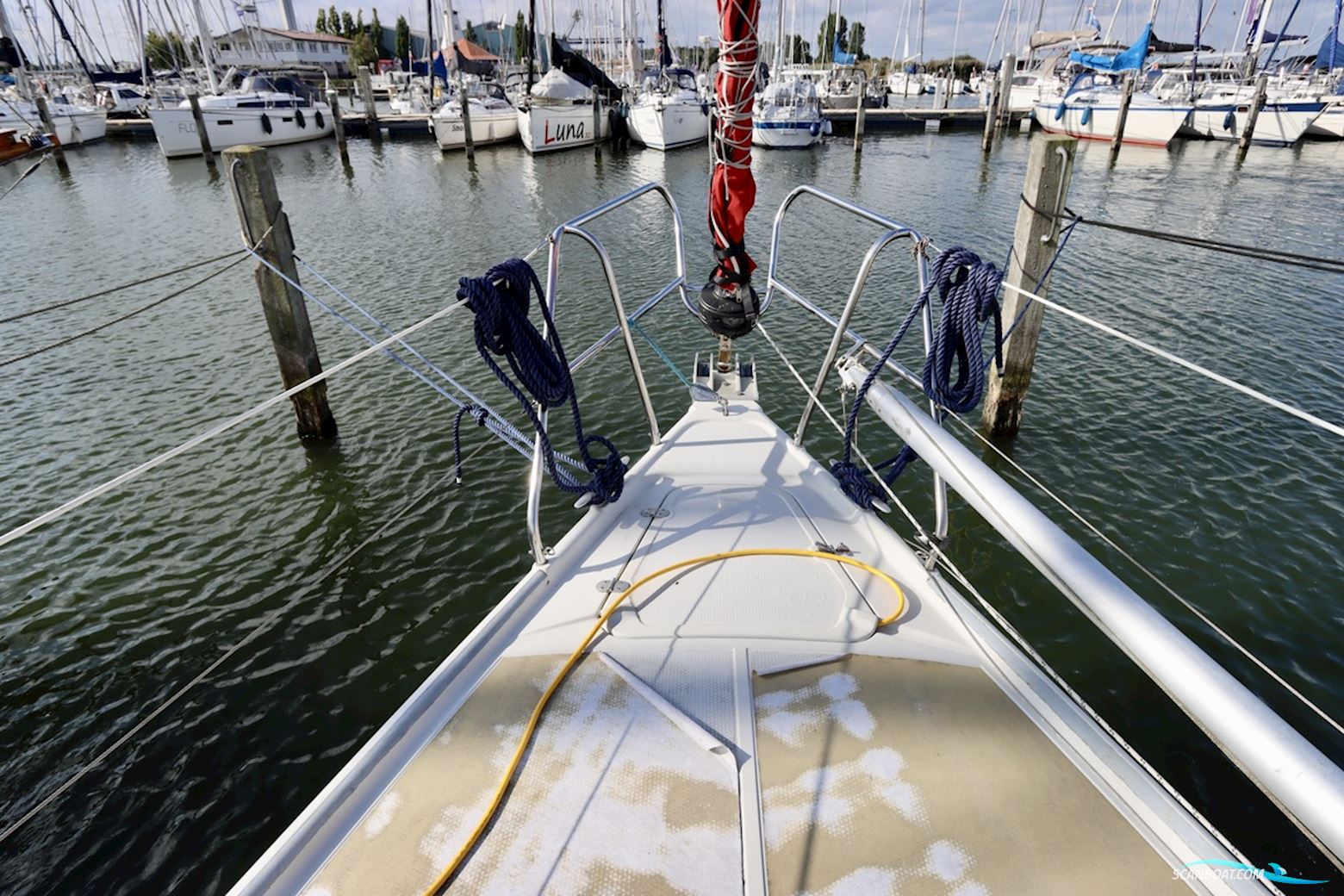 Dehler 36 CWS topline