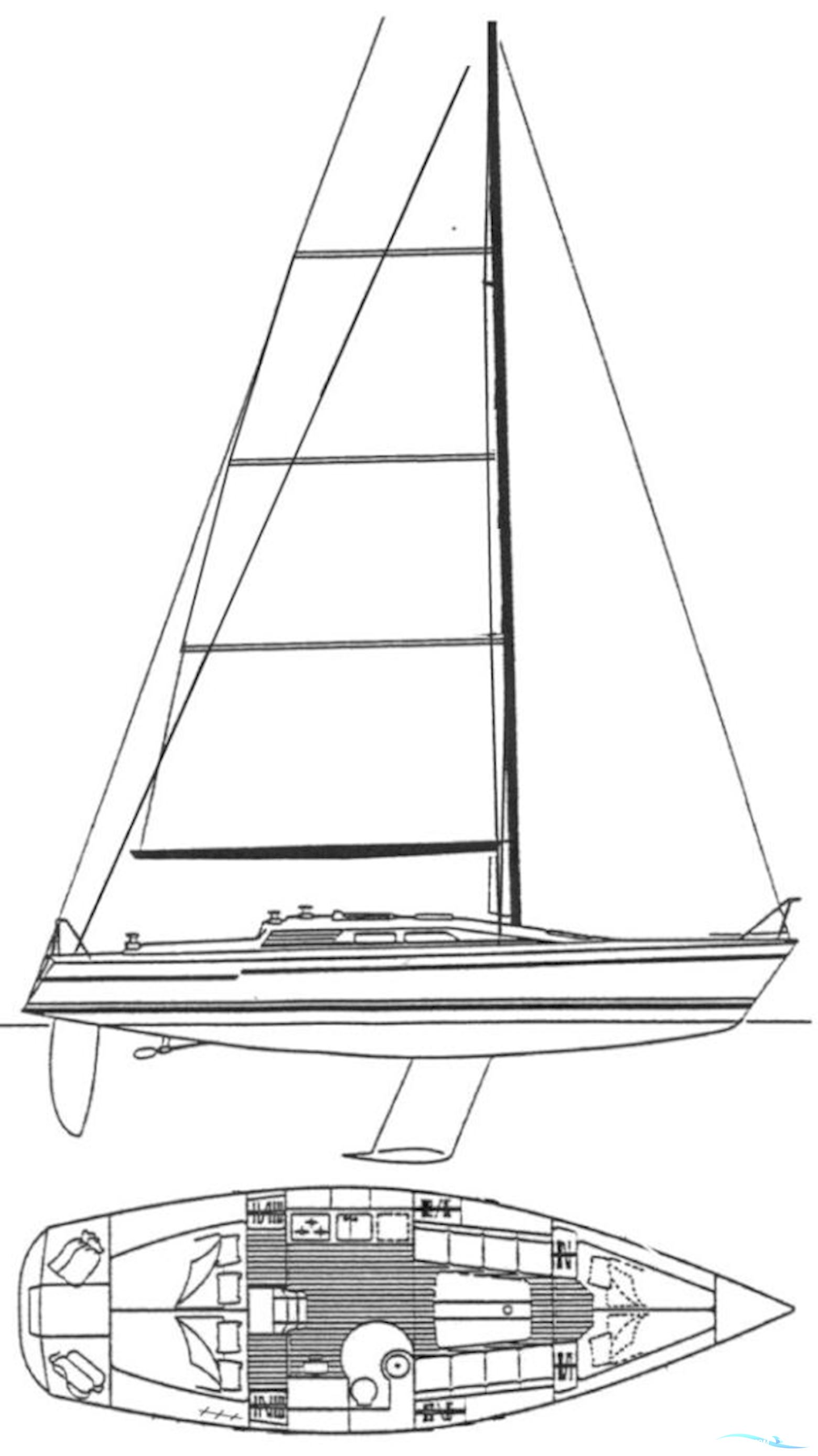 Dehler 36 Match Race