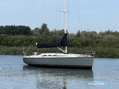 Dehler 39 SQ Sejlbåd 2004, Holland