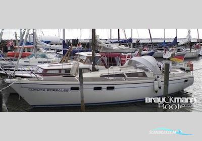 Dehler Yachtbau Optima 98 AK Sejlbåd 1982, med Volvo Penta motor, Tyskland