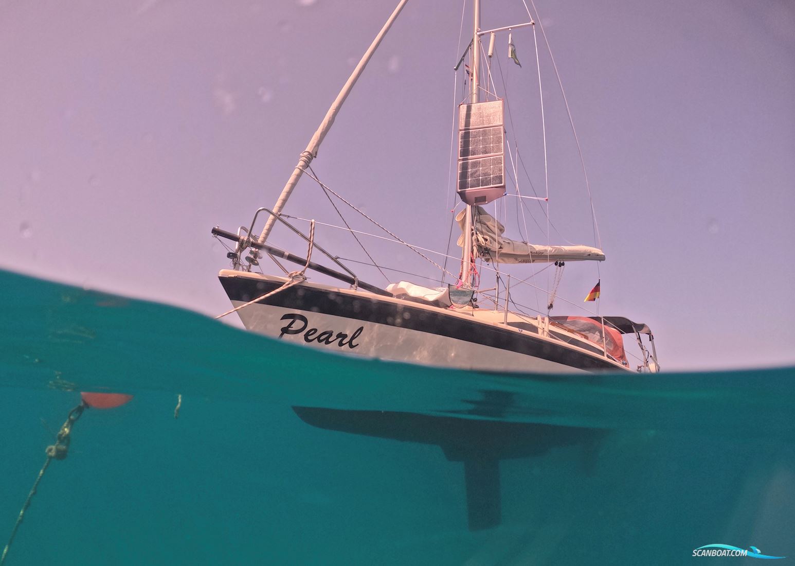 Dehlya 25