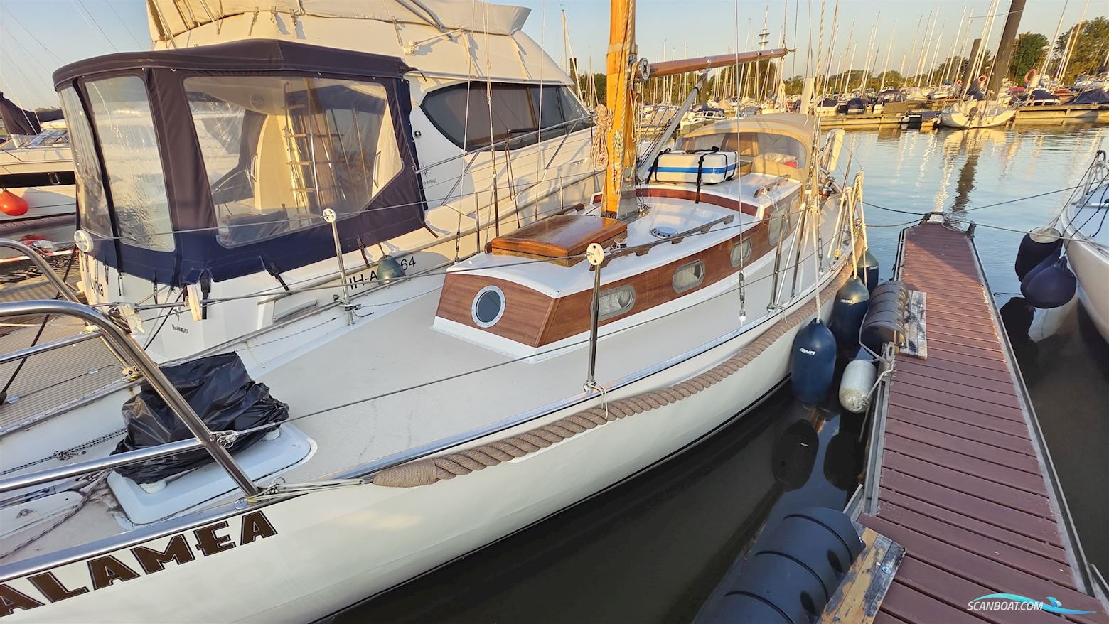 Dekker & Söhne Marken II