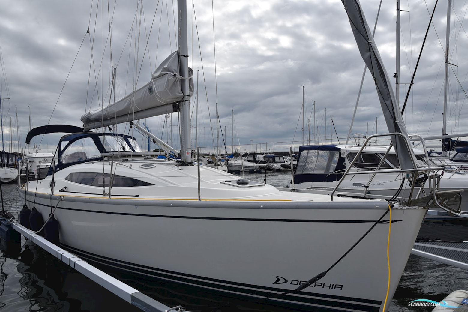 Delphia Delphia 33,3