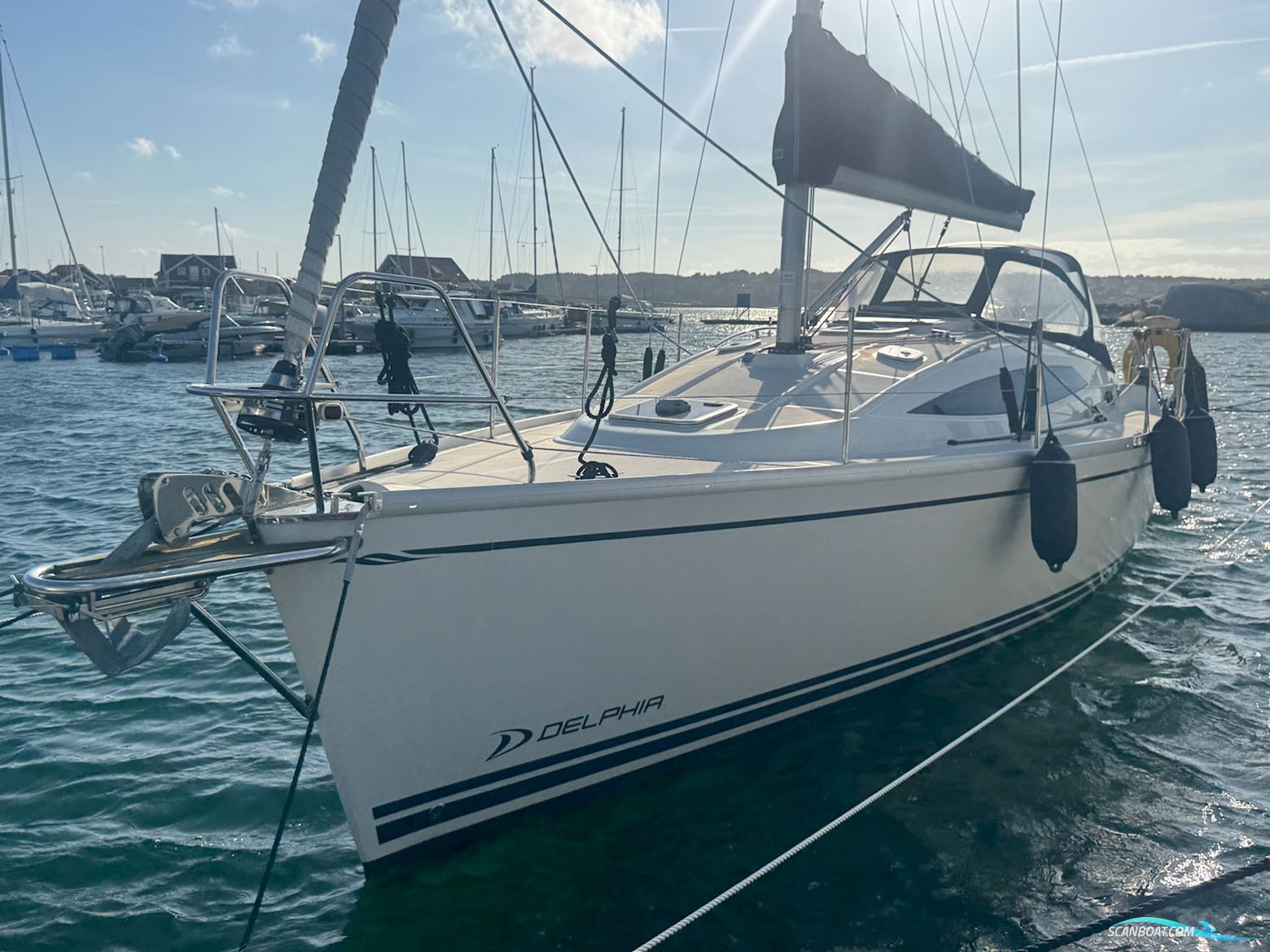 Delphia Delphia 33.3