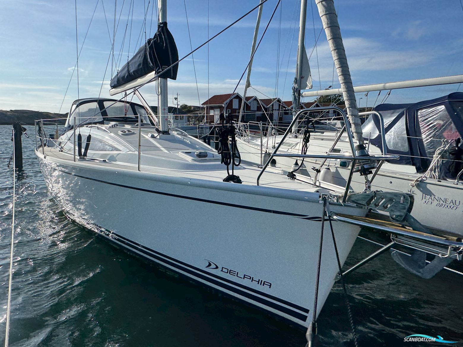 Delphia Delphia 33.3