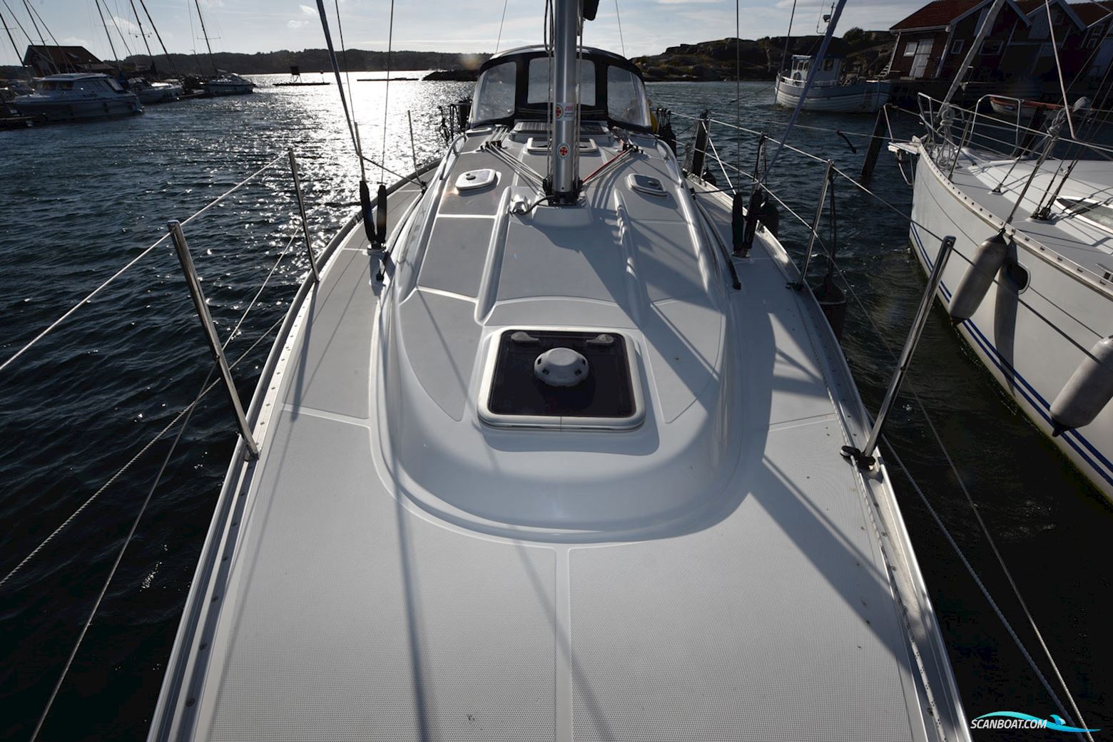 Delphia Delphia 33.3