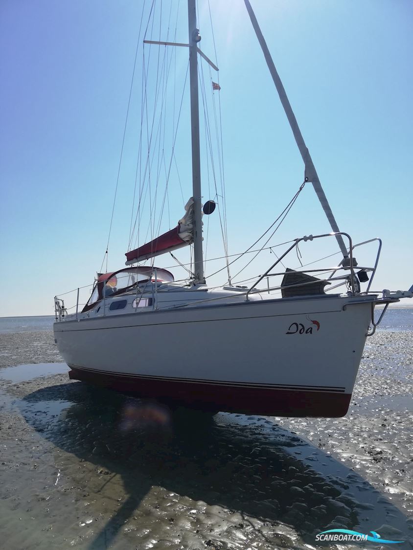 Delphia Sportina 860