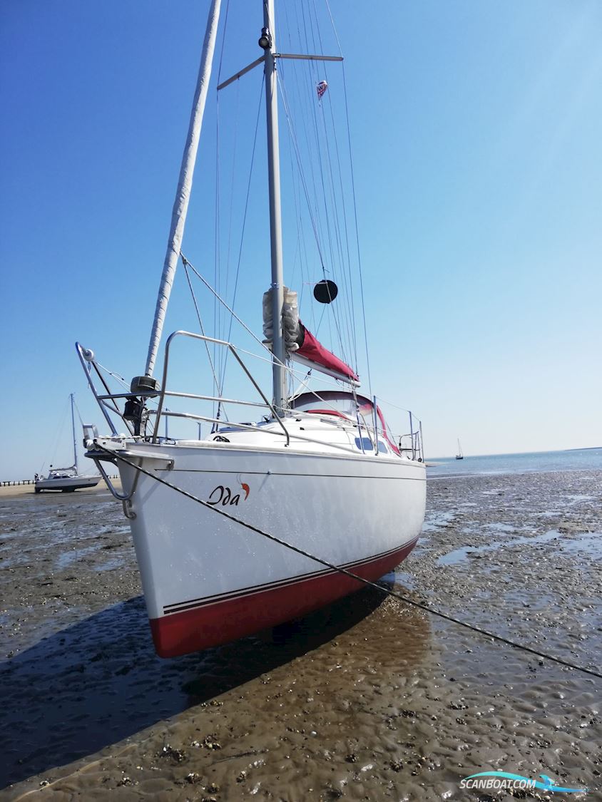 Delphia Sportina 860