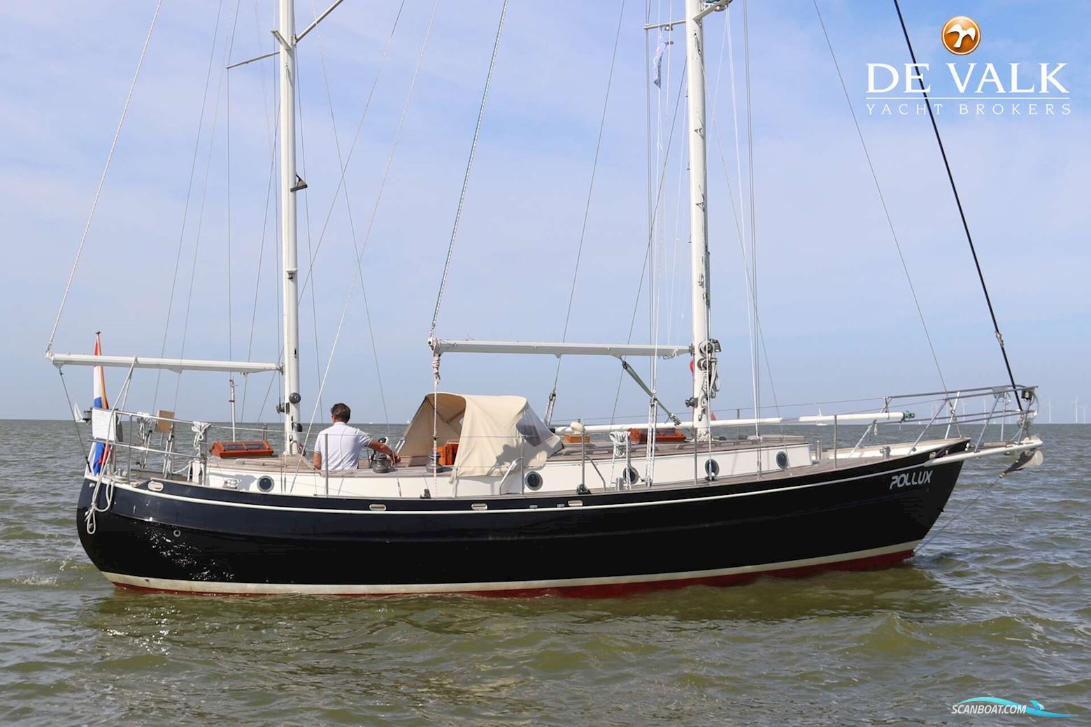 Dick Zaal Polar Bear