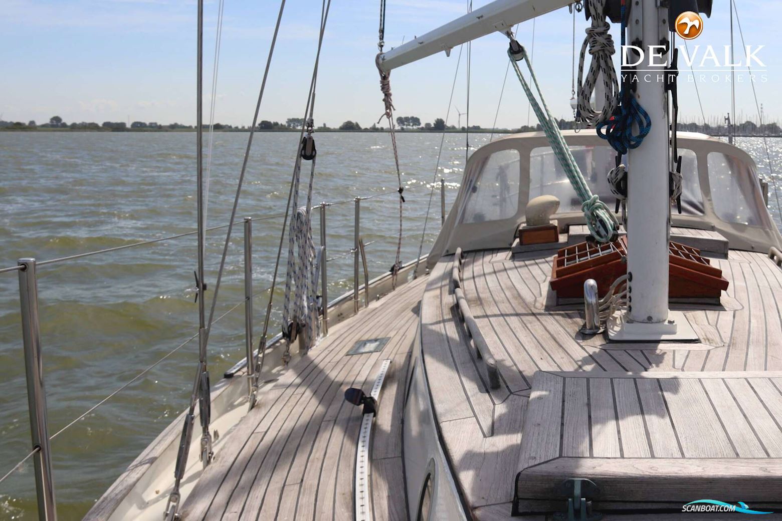 Dick Zaal Polar Bear