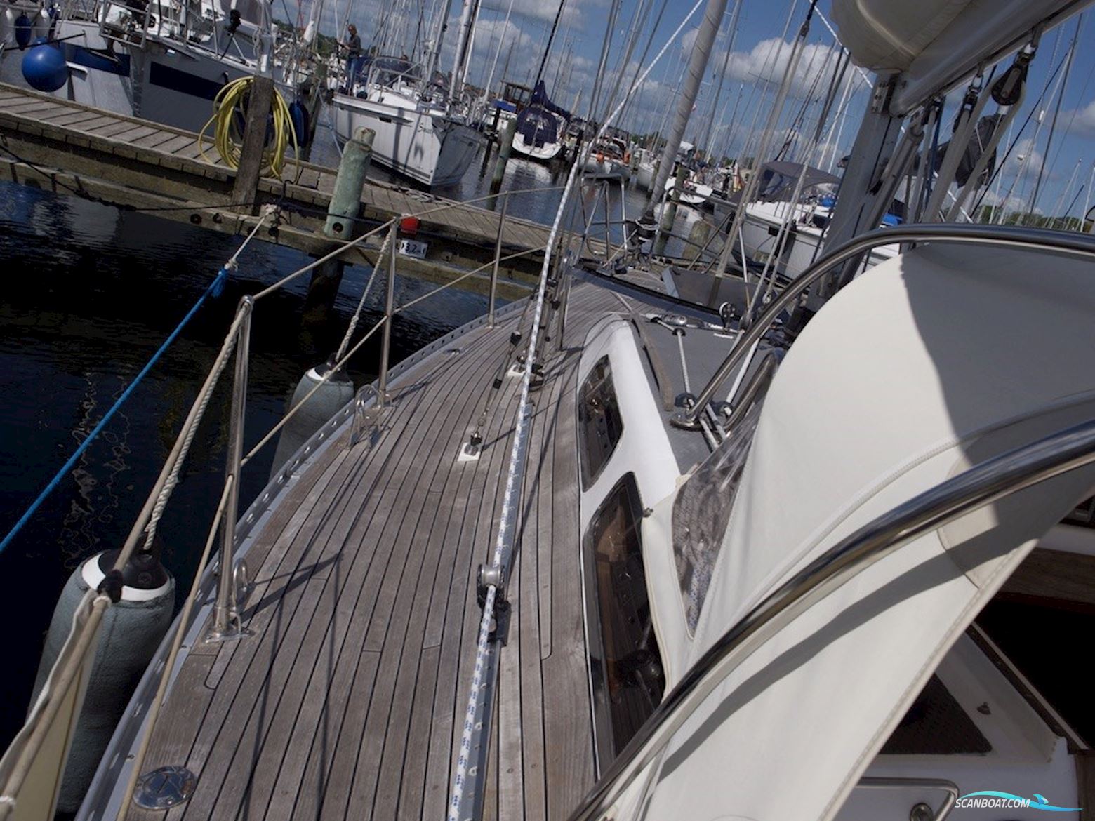 D.P. Doug Peterson 31