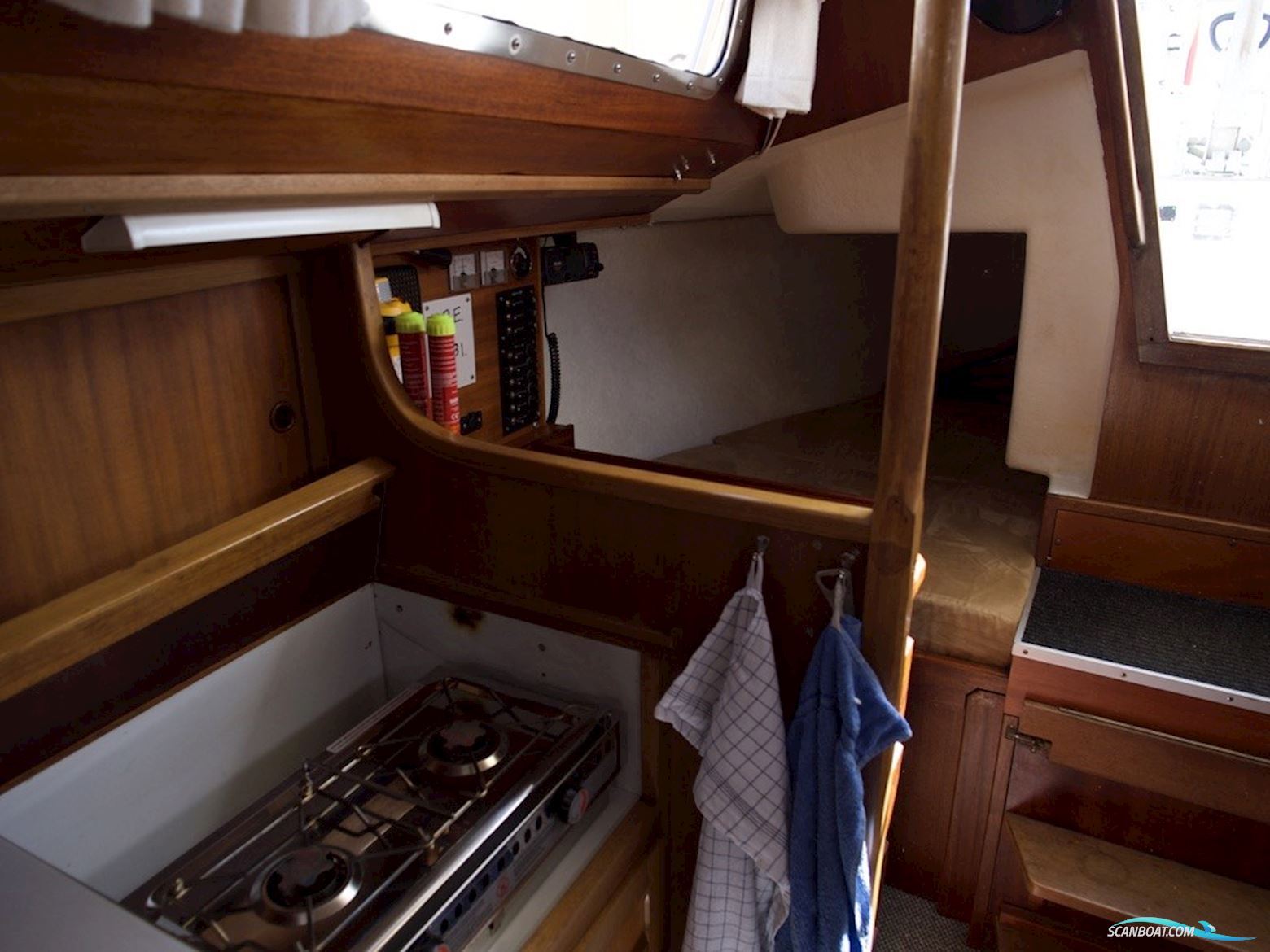 D.P. Doug Peterson 31