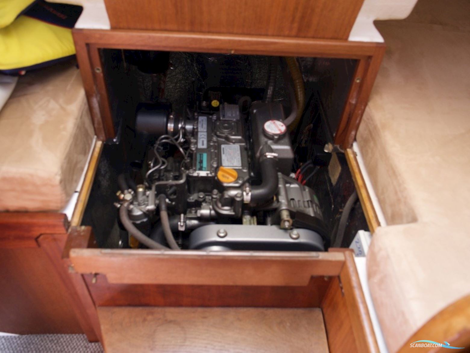 D.P. Doug Peterson 31