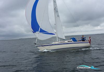 Drabant 30 Sejlbåd 1983, med Yanmar 3YM20 motor, Danmark