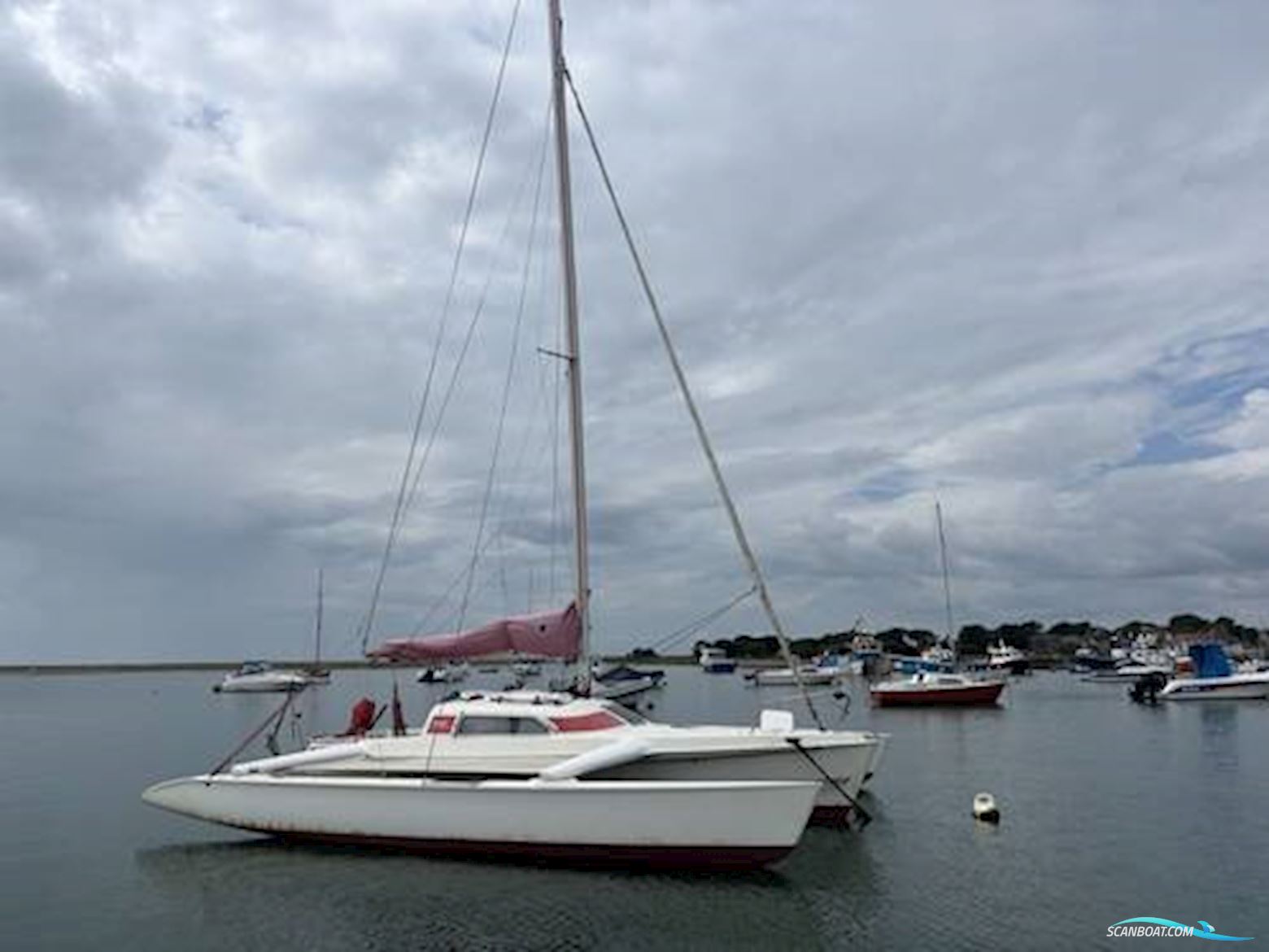 Dragonfly 800