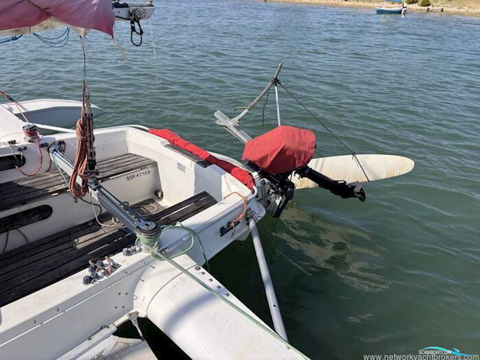 Dragonfly 800
