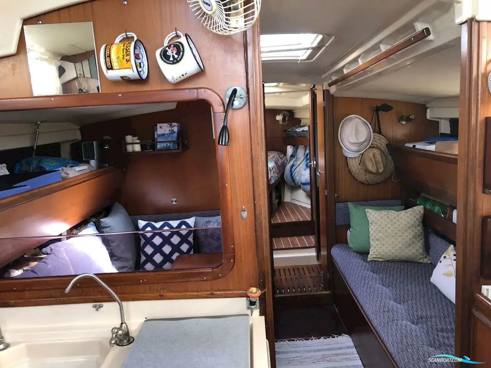 Dufour Apogee 35