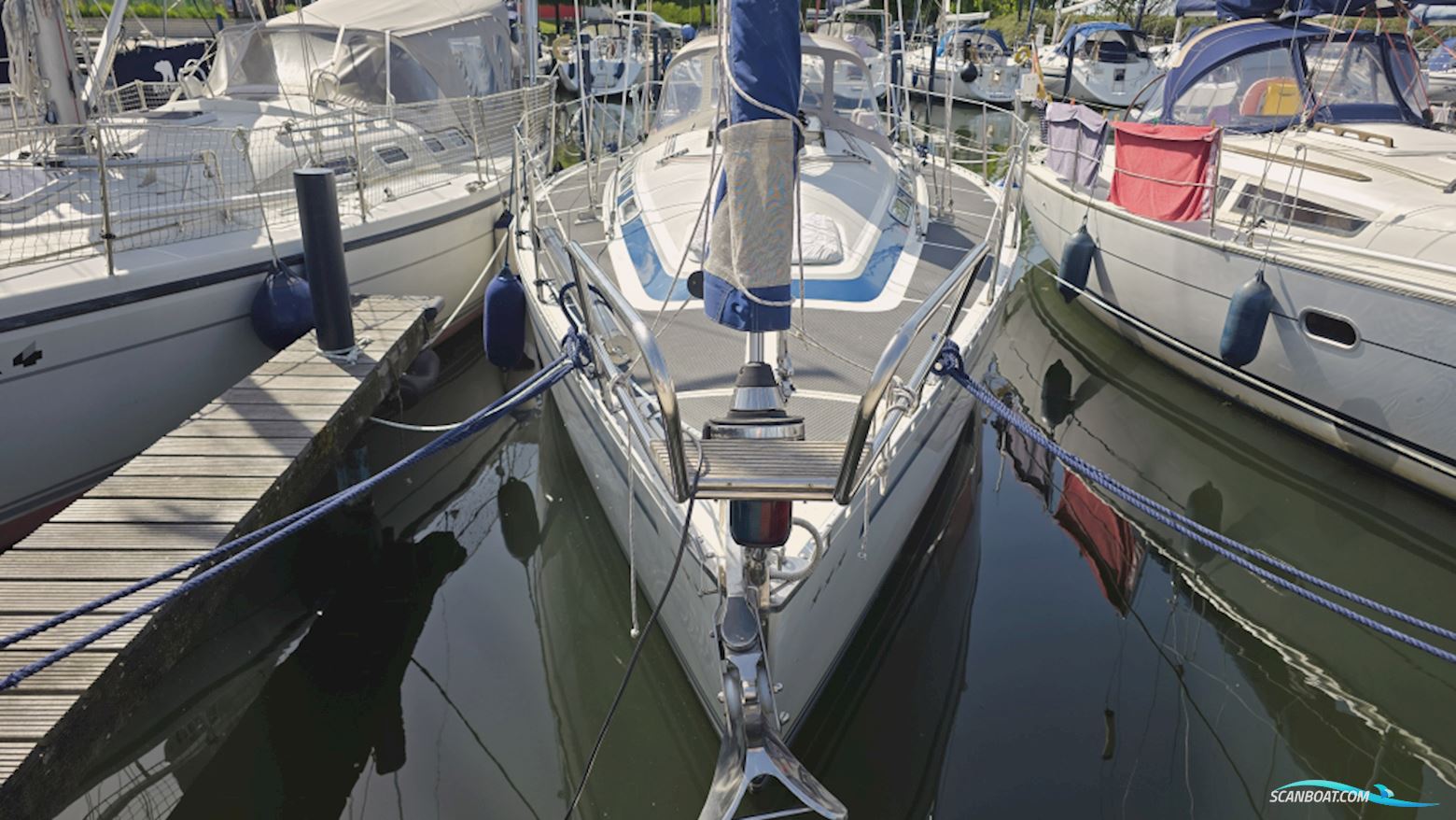 Dynamic 37
