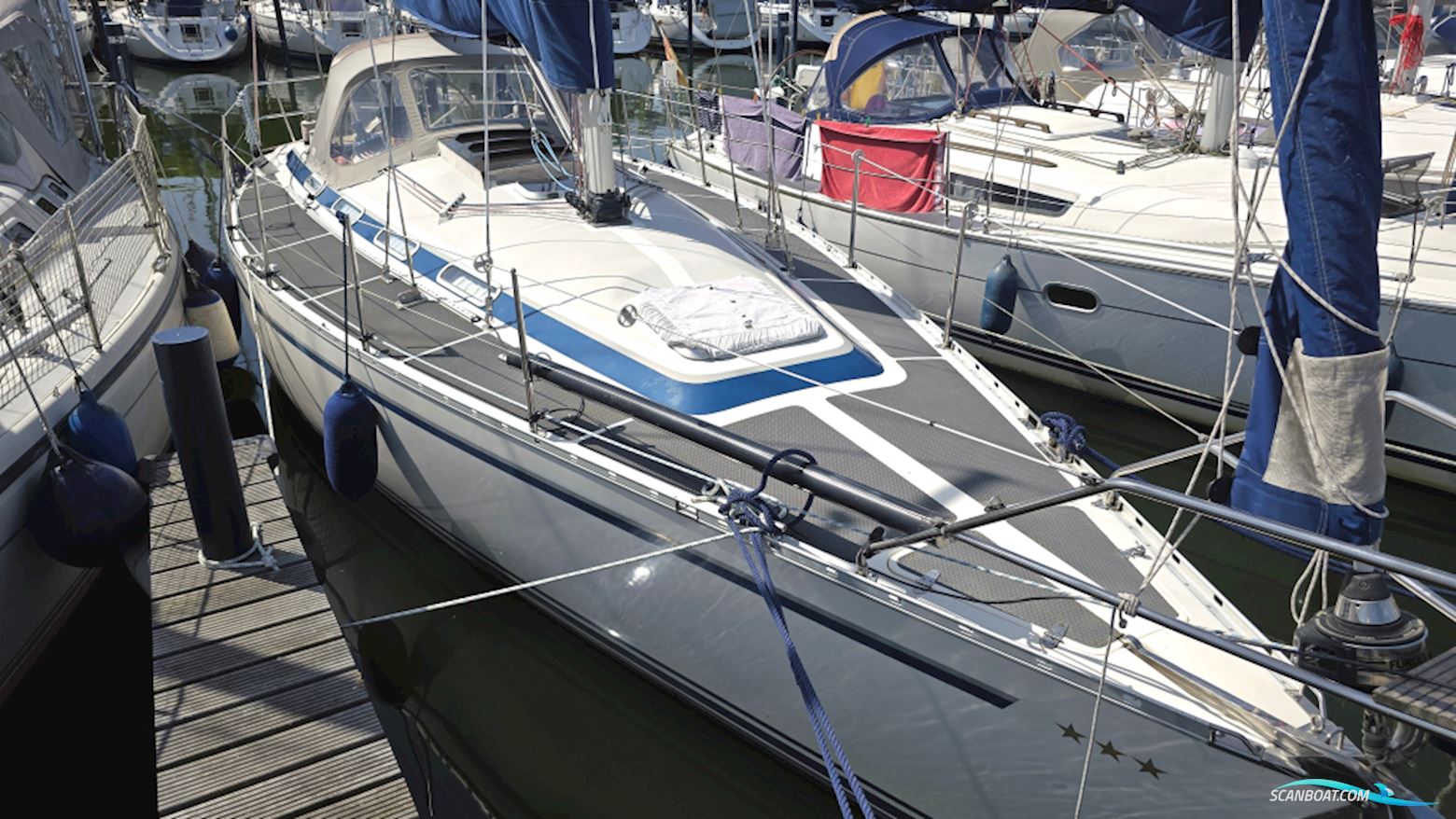 Dynamic 37