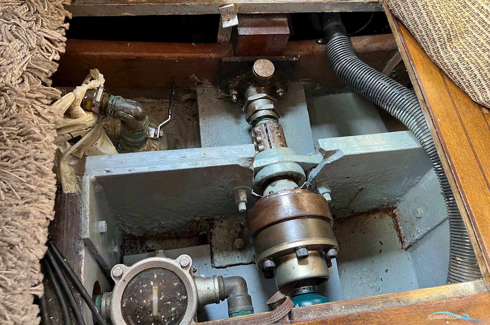 E.G. VAN DE STADT STORMY 55