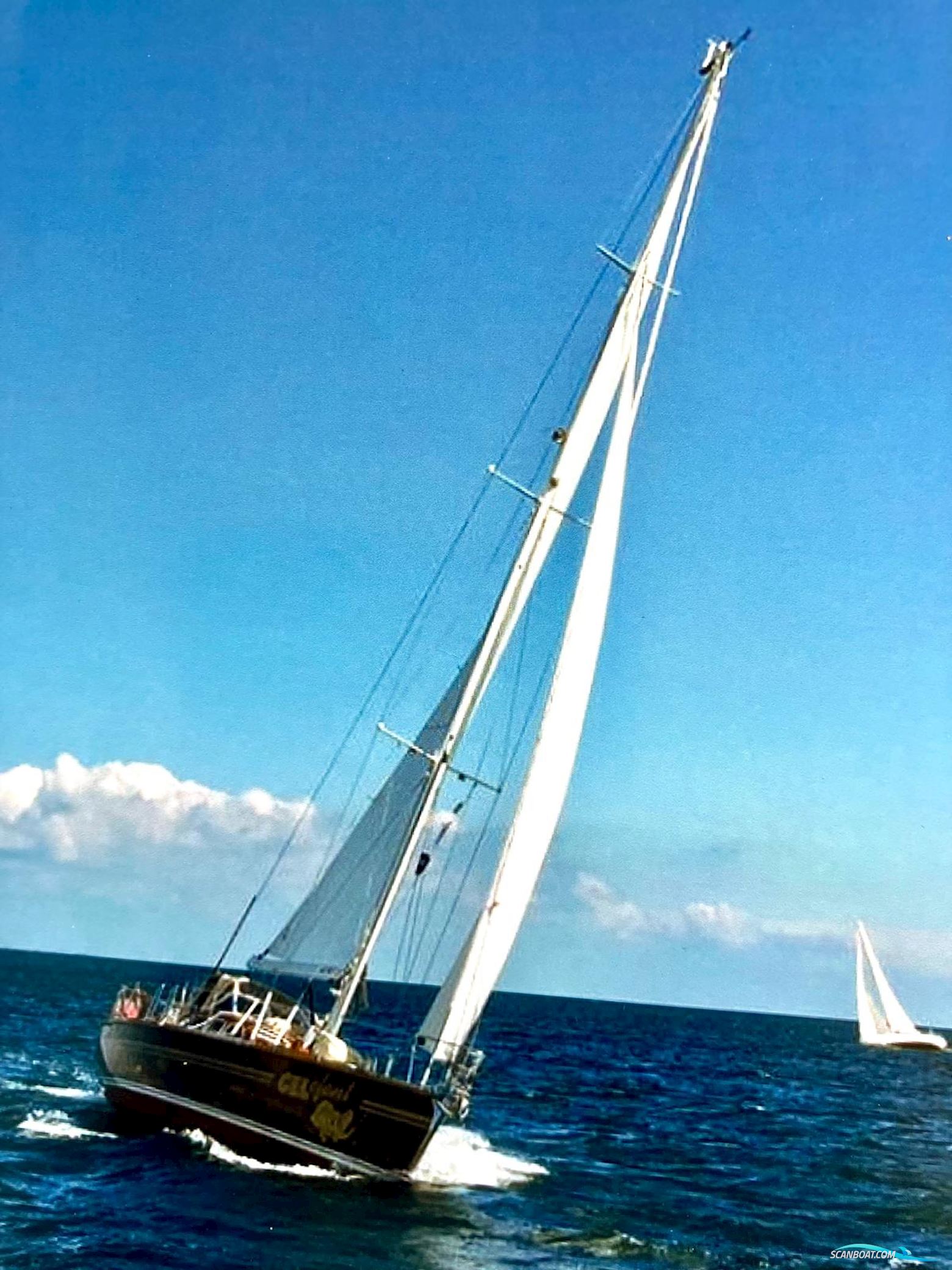 Einzelbau Einzelbau Sloop