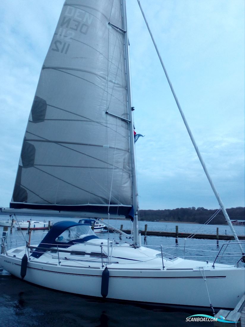 Elan 31