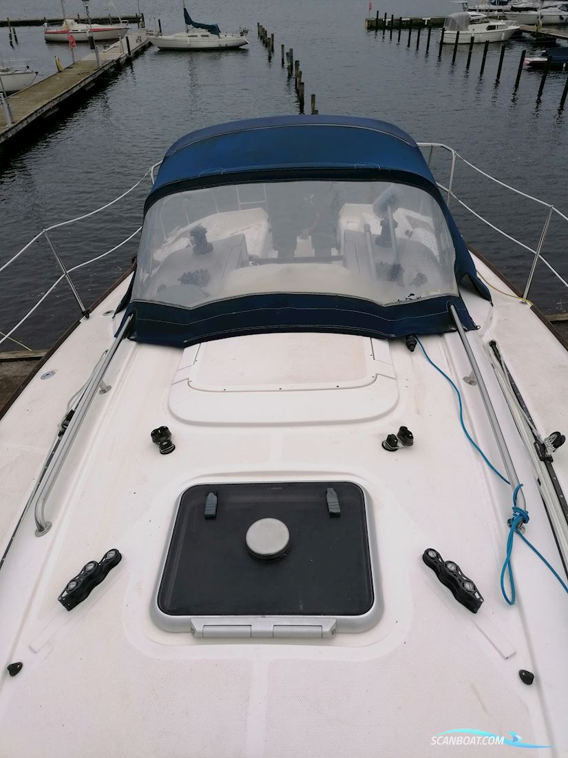 Elan 31