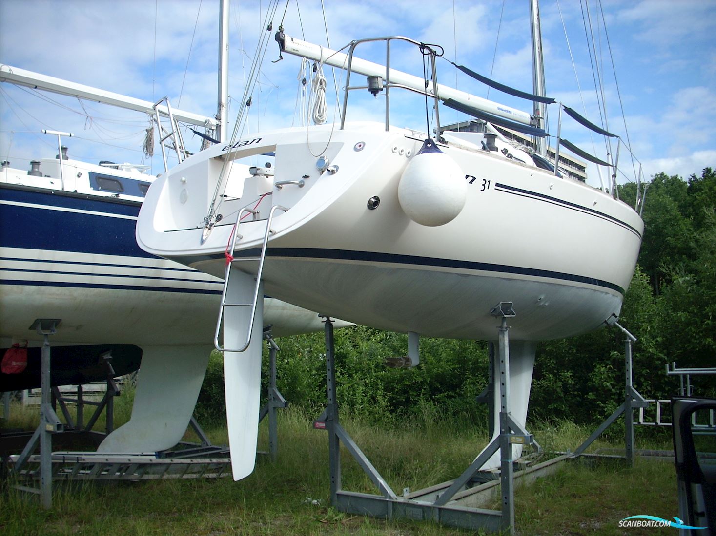 Elan 31
