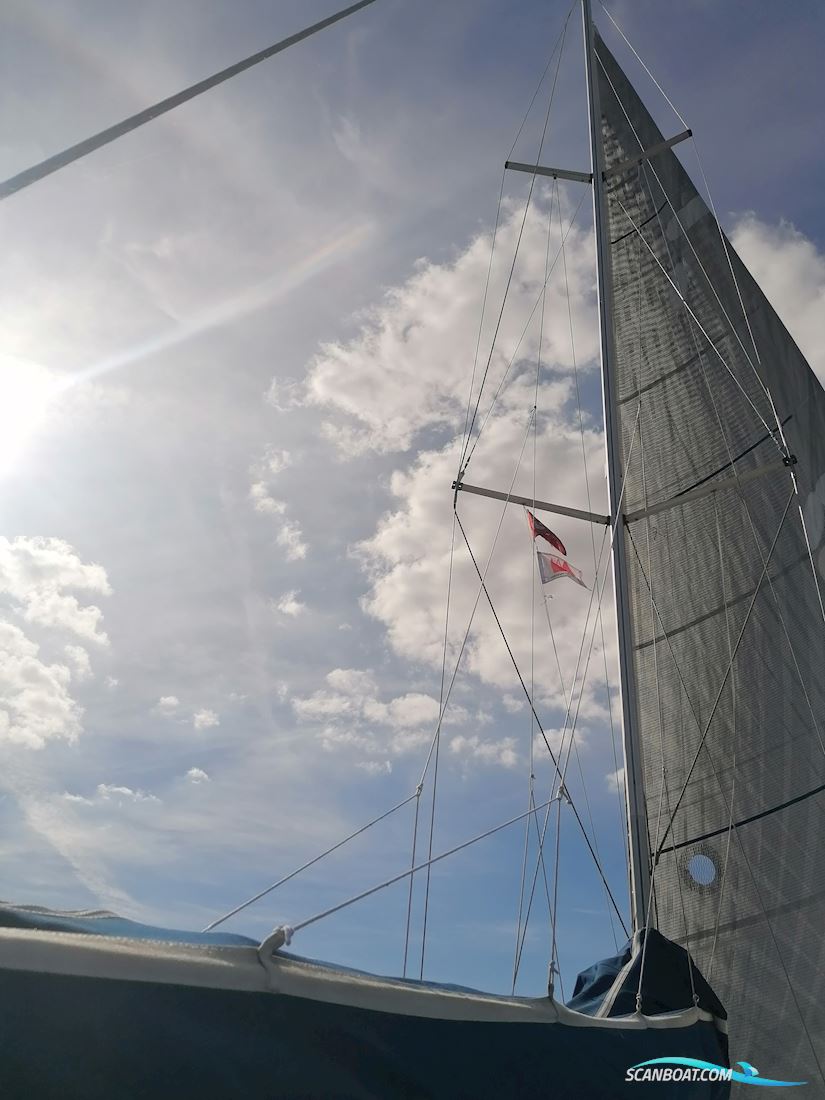Elan 31