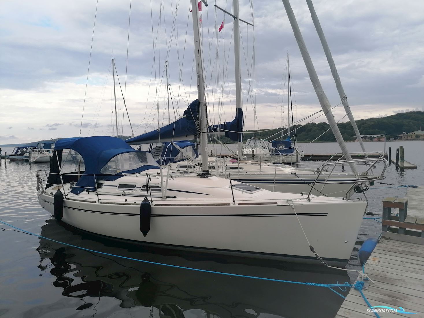 Elan 31