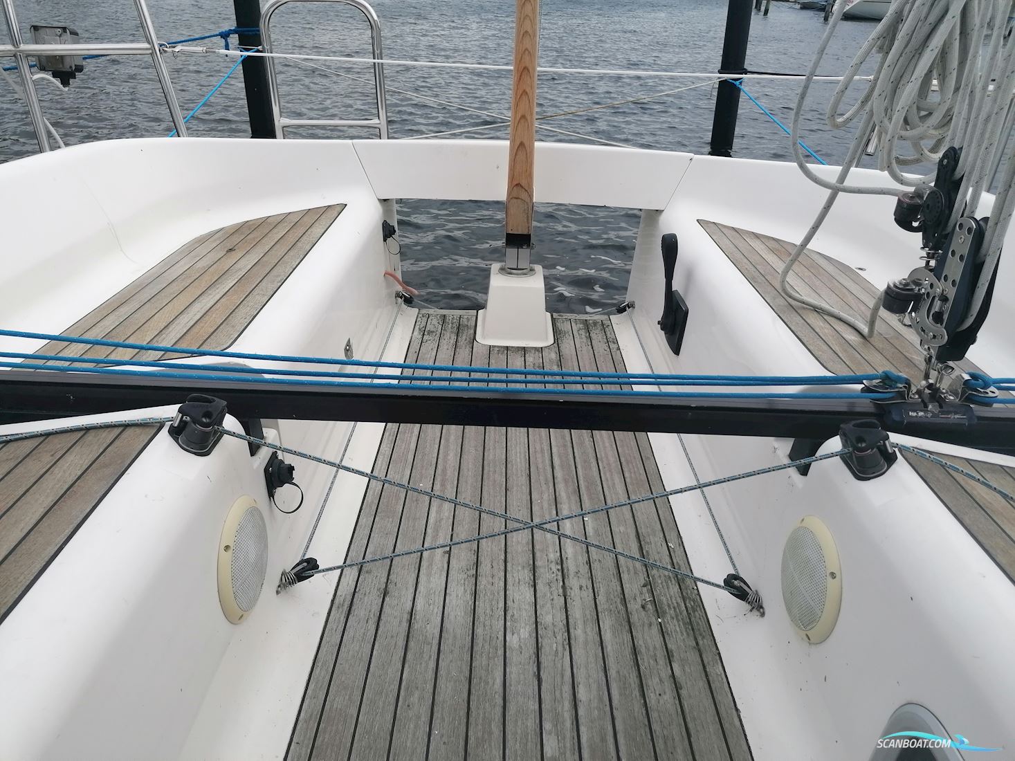 Elan 31