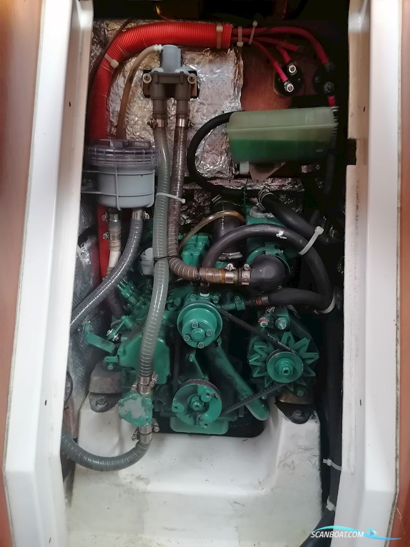 Elan 31