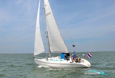 Elan 33 Sejlbåd 1991, Holland