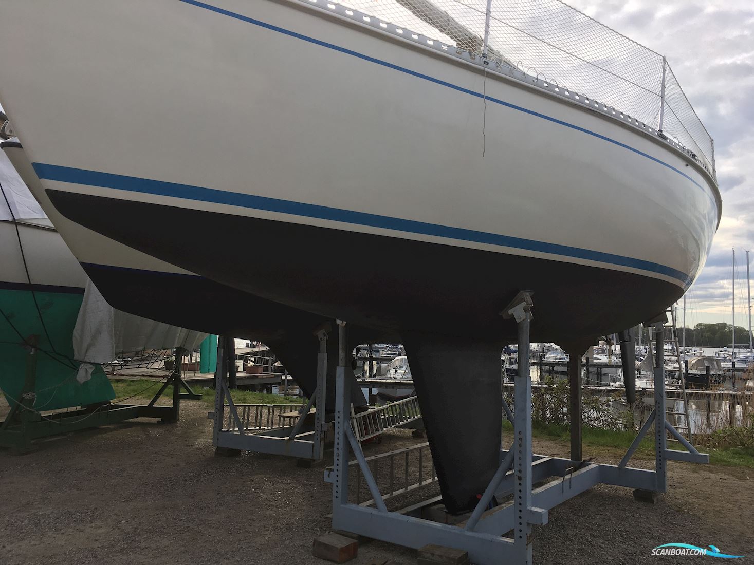Elan 331