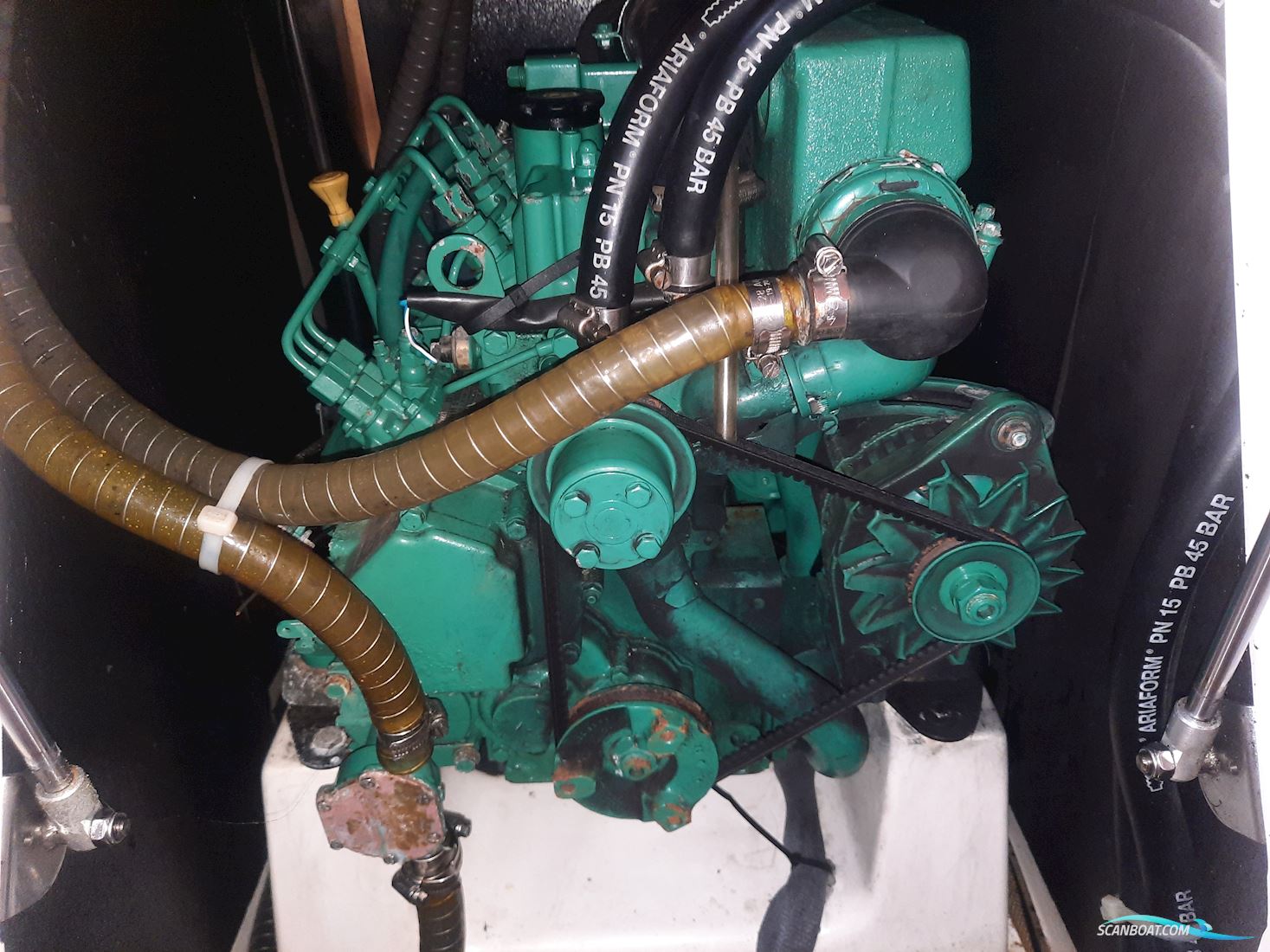Elan 37
