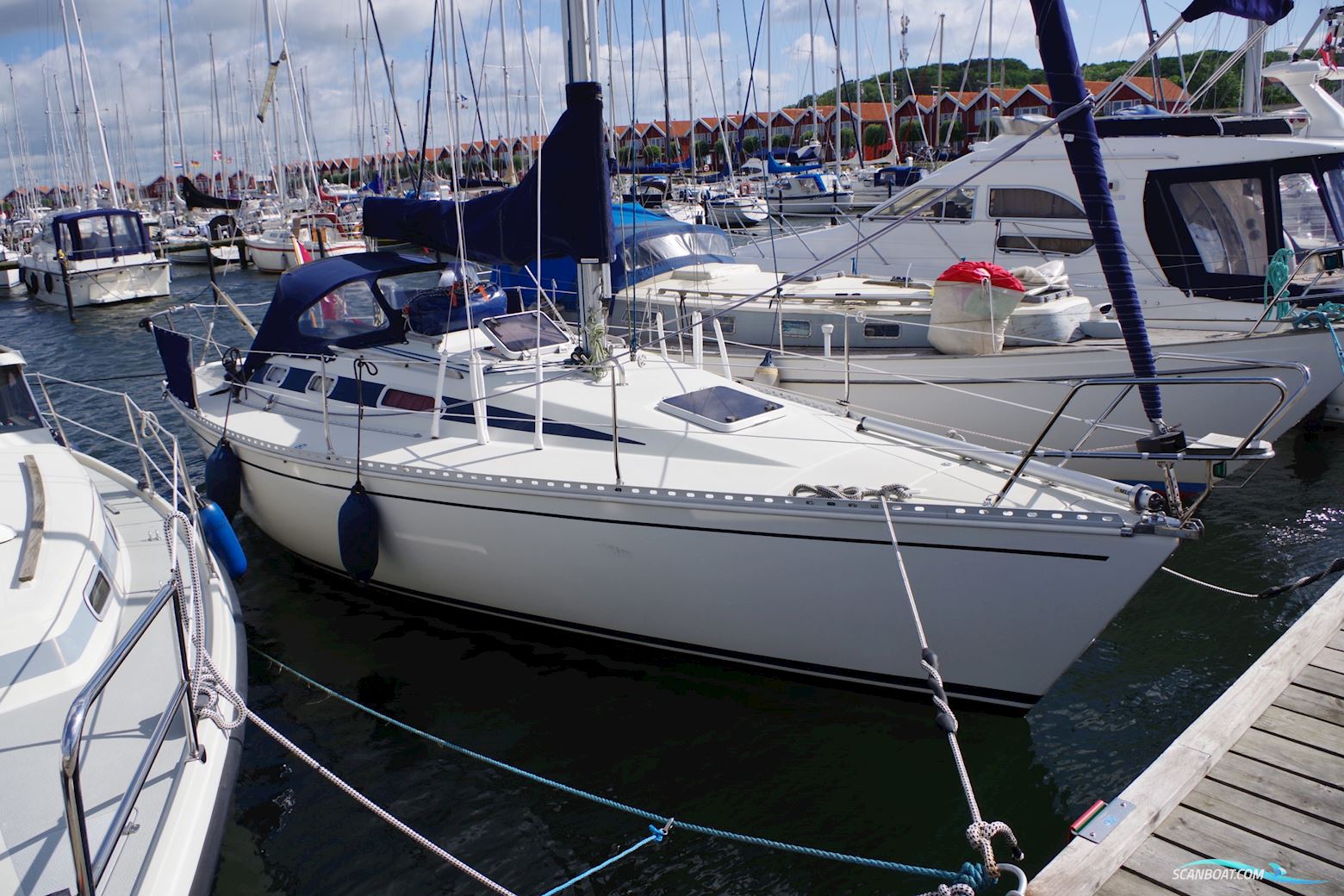 Elan Elan 33 Sejlbåd 1991, med Yanmar motor, Danmark