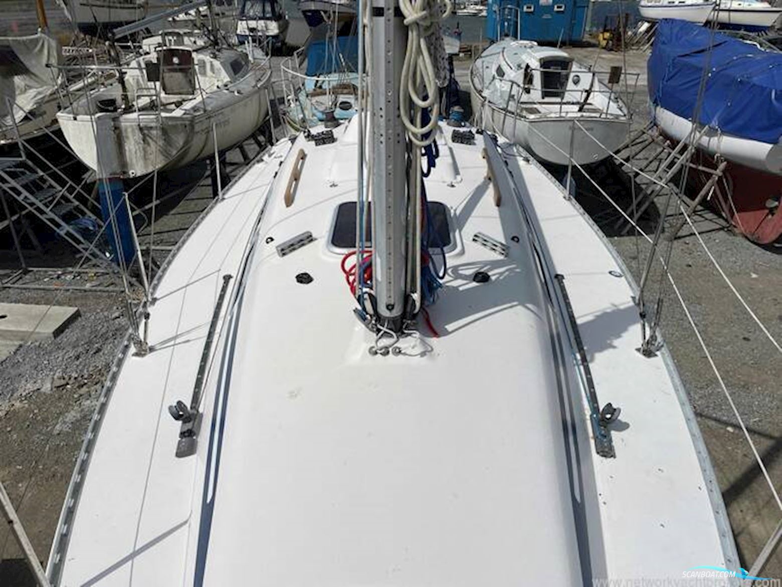 Elan Marine 295