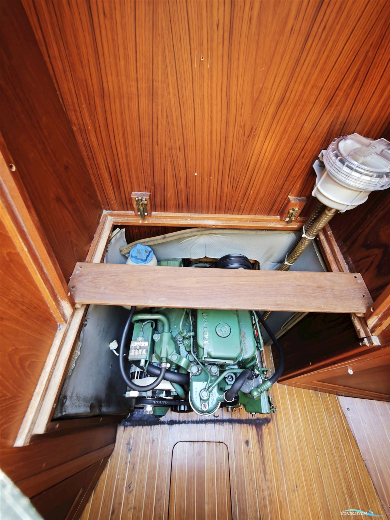 Finngulf 31