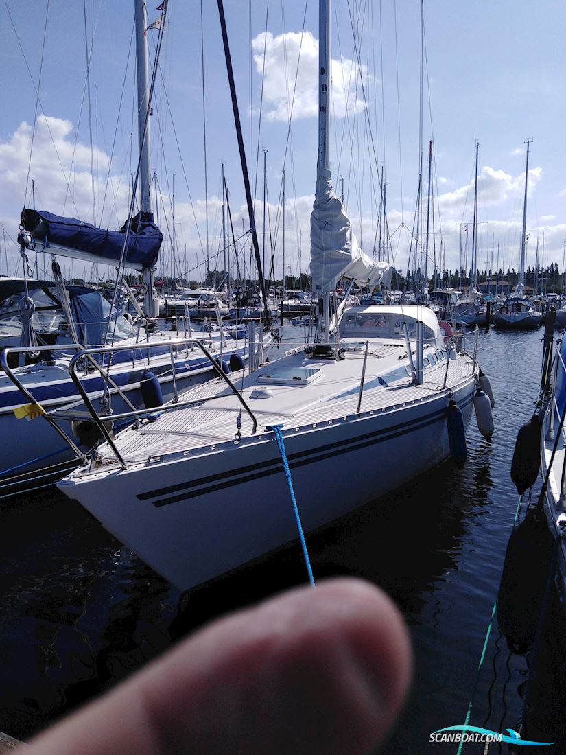 Finngulf 36